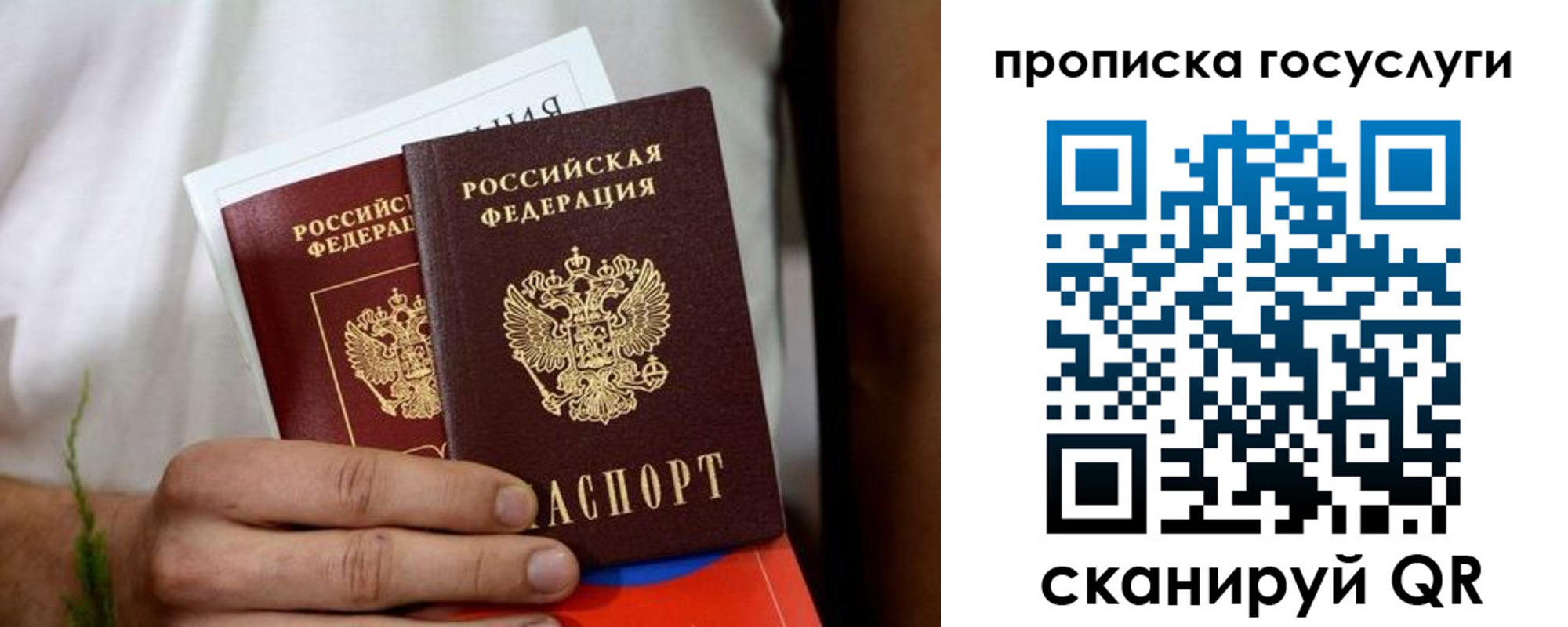 прописка регистрация в Вольске